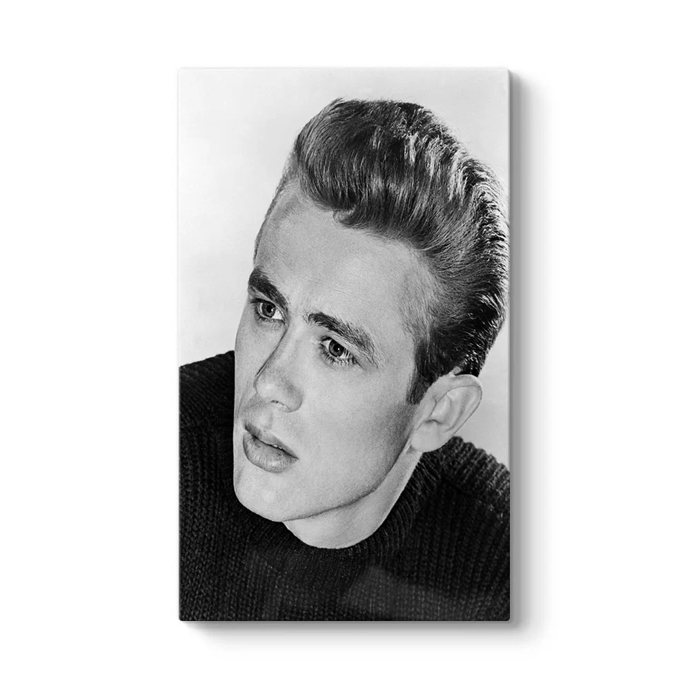James Dean Tablosu - Model 35